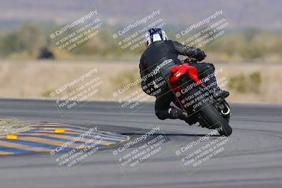 media/Dec-09-2023-SoCal Trackdays (Sat) [[76a8ac2686]]/Turn 14 Backside (1050am)/